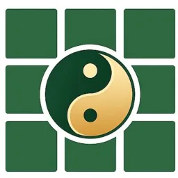 NineFengShui logo